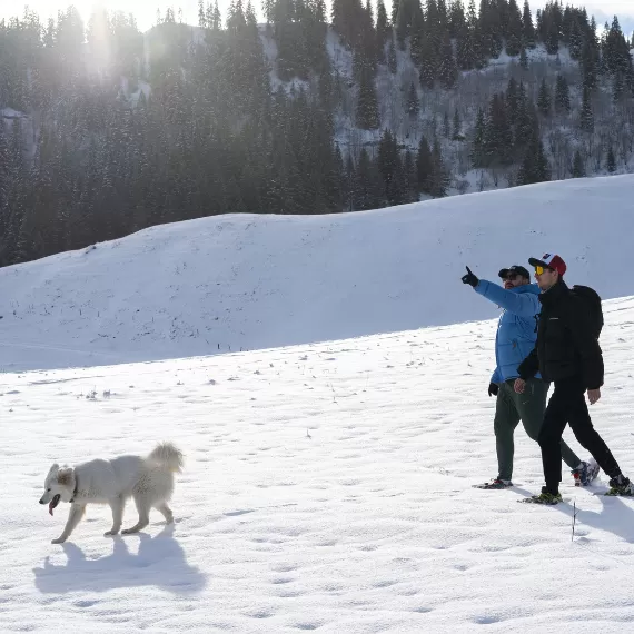 Symbioz Hyperflex Access - Snowshoes | TSL Outdoor